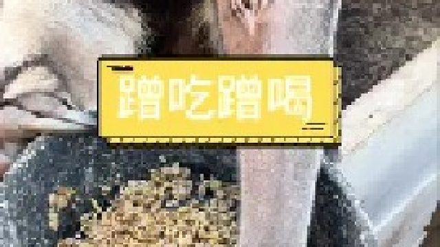 这大长脸到哪都得给点面子