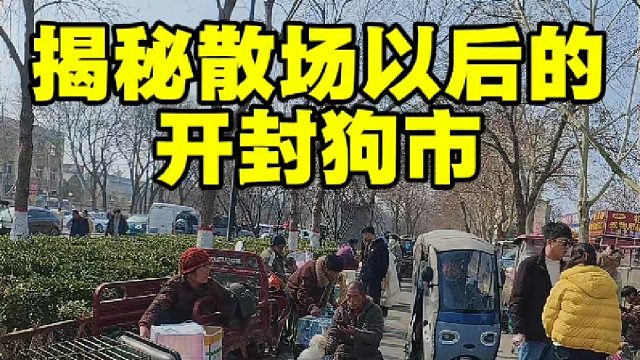 “揭秘”开封狗市散场之后的一面，希望对想养宠的新手能有帮助！
