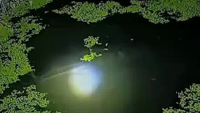 男子夜钓惊现一幕_从没见过这么大的鱼_网友：谁能测出这条多少斤！