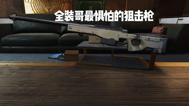 假如三角洲所有狙击枪有聚会