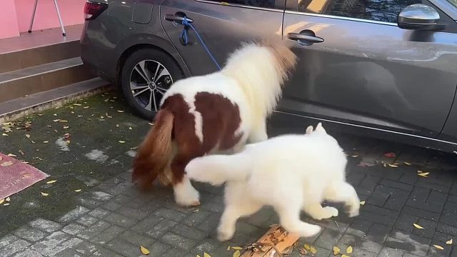 第一脚不痛不痒，第二脚舒服了吧！