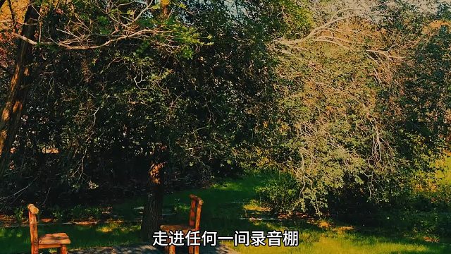 棚内微光藏着未出世的声线梨花声音教育