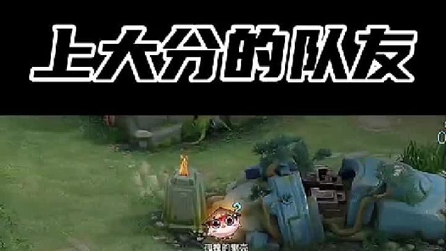 这般队友怎不招人喜爱