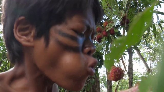 20260211原始技术 - 晚餐煮排骨