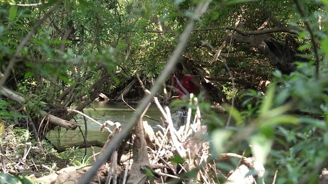 20260211原始技术-丛林中鸡肉和鸡蛋的美味烹饪食物
