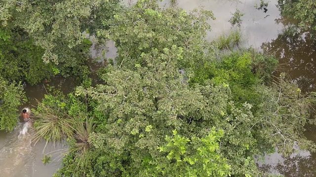 20260211原始技术-在丛林中煮蛋鸭当食物