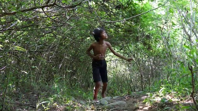 20260211原始技术——野外烹饪青蛙