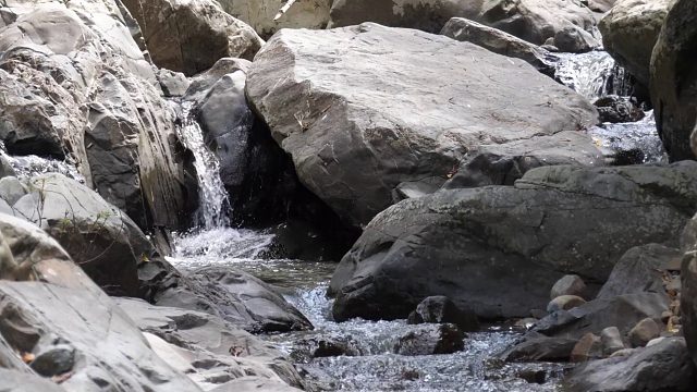 20260211原始技术——钓大鱼煮吃