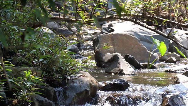 20260211原始科技-聪明男孩煮鸡翅