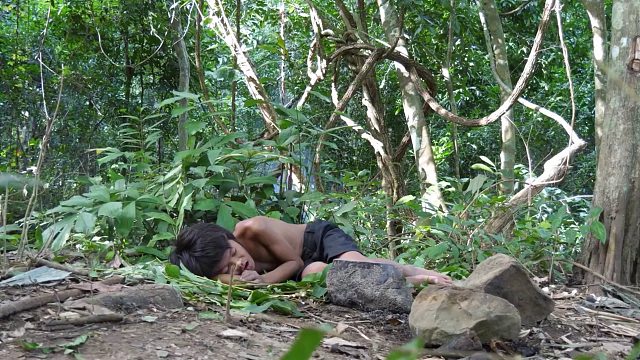 20260211原始科技⧸ 聪明男孩煮鸡蛋鸭