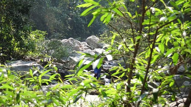 20260211煮鸡大⧸原始技术