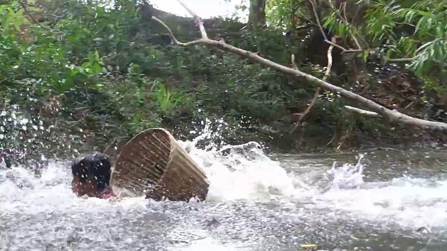 20260211认识用椰子水烹饪鸭子和鸡蛋