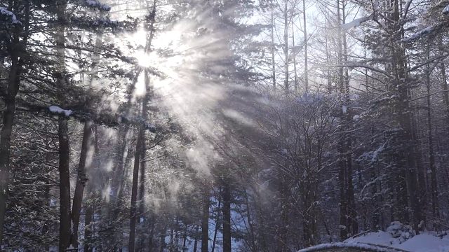 20260211️在深雪上露营，享受舒适温暖的庇护所