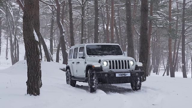 20260211湿雪冻雨热帐篷露营｜雪之声