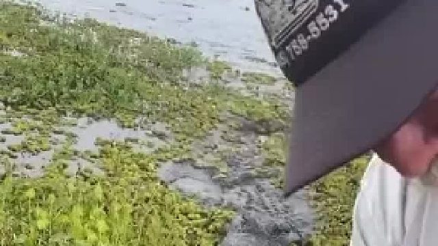 丛林里没有剧本，走进亚马逊热带雨林，探寻曾被世人遗忘的角落