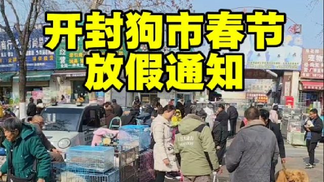 开封狗市春节放假通知来啦！想逛狗市的注意结合时间，养宠需慎重
