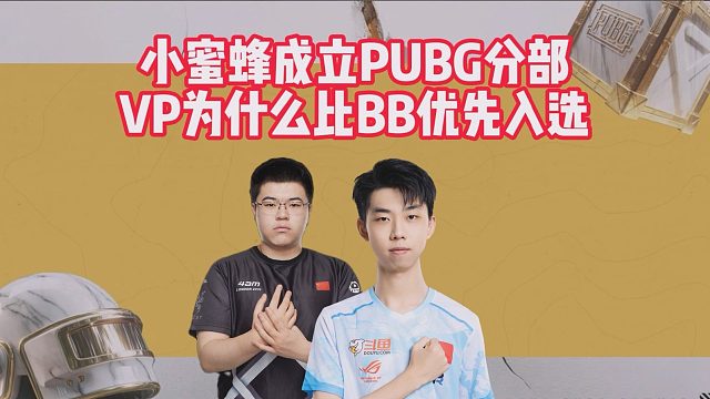 小蜜蜂成立PUBG分部，VP为什么比BB优先入选