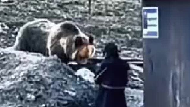 女子近距离观藏马熊，男子看到急忙提醒女子赶紧远离