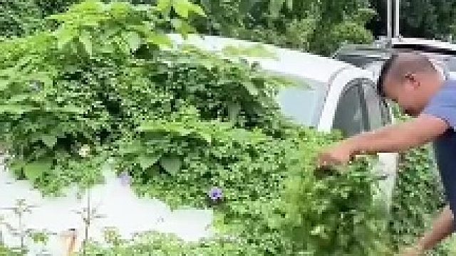 一年两箱车神陆续出关了
