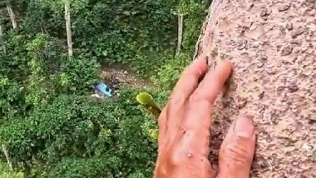 真实收割蜂蜜现场：被蜜蜂蜇到双手颤抖，他还是选择继续收割蜂蜜