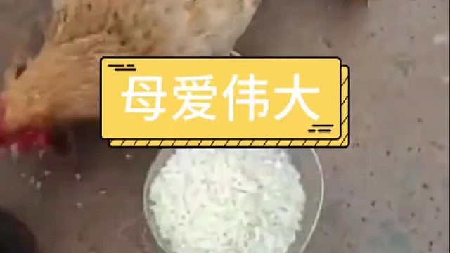 不是妈妈不爱你，妈妈也得补身体啊