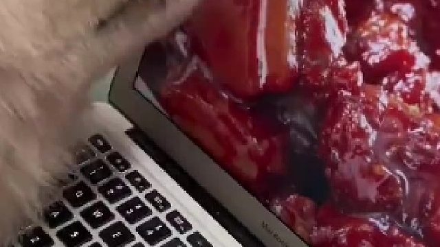 命运戏弄大馋耶