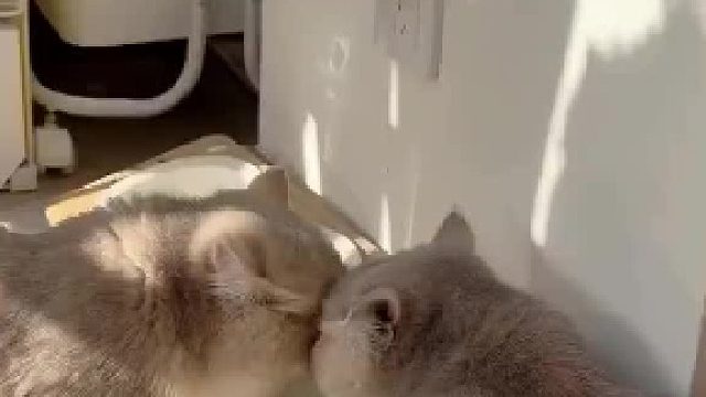 喝水还是接吻？
