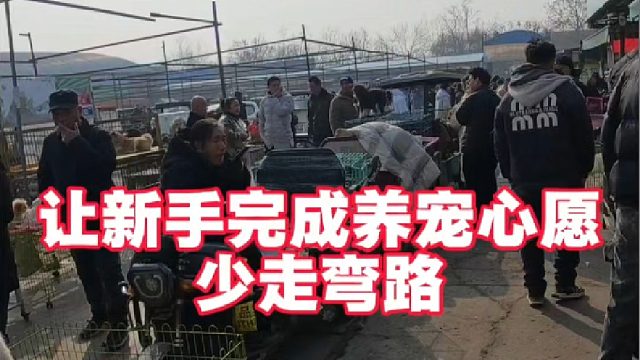 开封狗市帮咱粉丝完成养宠心愿，让新手养宠少走弯路！拒绝问题狗