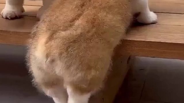 腿到用时方恨短