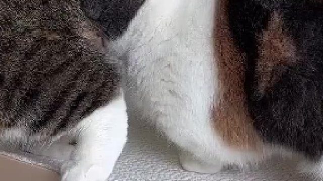 一定要看到最后