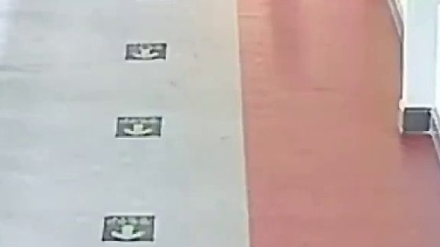 早上好，来看看这个坏东西偷面粉！！！