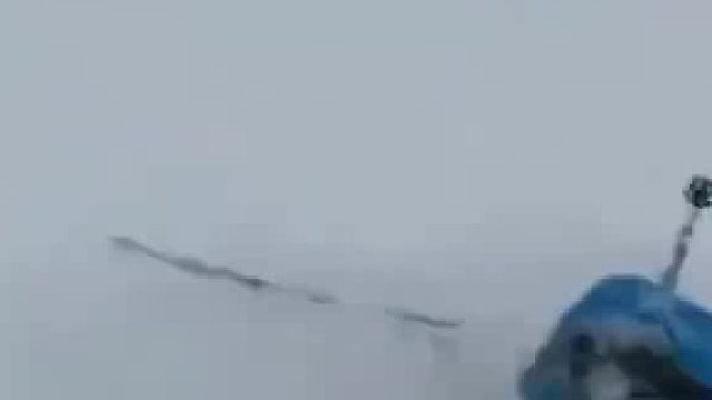 一只小猞猁的重生，从雪山到回家的路