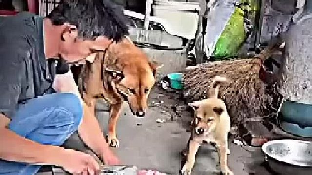 让他去上班吧，我去看门