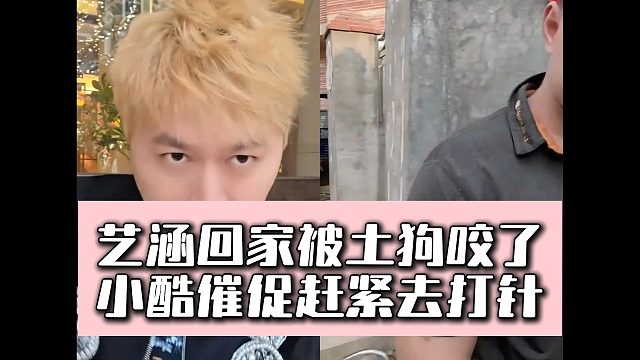 艺涵回家被土狗咬了，小酷催促赶紧去打针