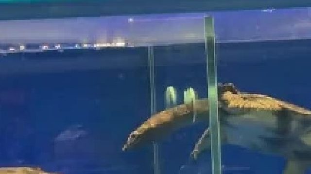 总有一个  是特别欠抽