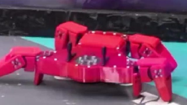 超酷的机器人比赛现场，期待谁能拔得头筹！