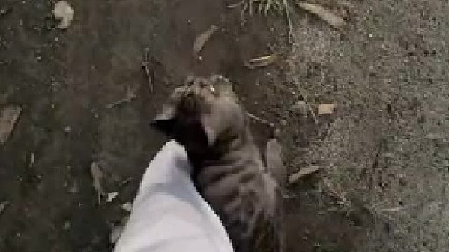 我跌跌撞撞奔向你……