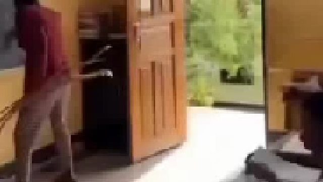 上学迟到，我就这样