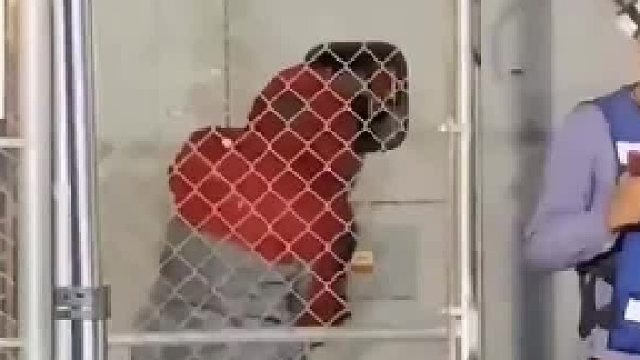 网友拍下合闸瞬间！旁边同事已提前套好绝缘棒， 网友：这么危险为什么不让机器人去？