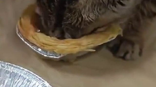 蛋挞...不能放在...平板旁边，因为...