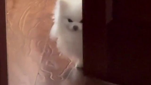 我看看你在和谁讲话