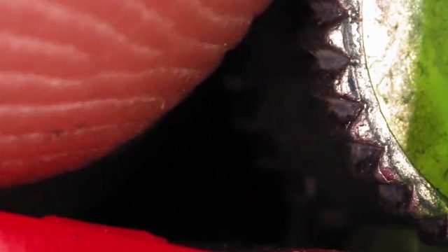 高清、原声解压！带给你不一样的解压方式！而且还涨知识哦！