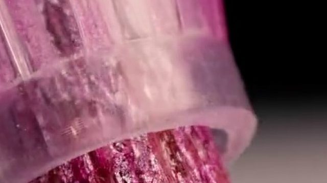 我发现你们都很坏！这是解压视频！！