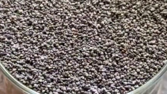 哪一个最解压，最舒服呢？