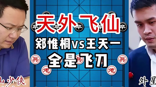 天外飞仙，全是飞刀