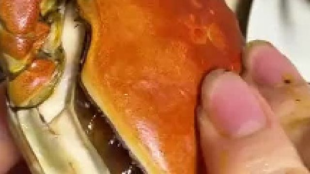 顶盖肥的六月黄螃蟹