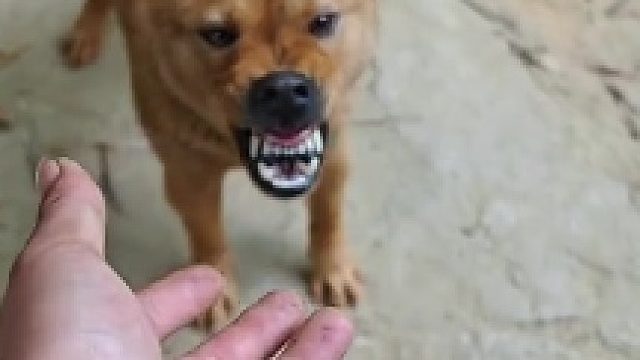 哥们别这样
