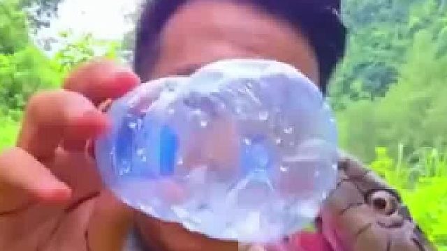 男子在野外取眼镜王蛇毒液 速度极快0.1秒瞬间注入毒液 网友：有什么动物能抗住这一击？