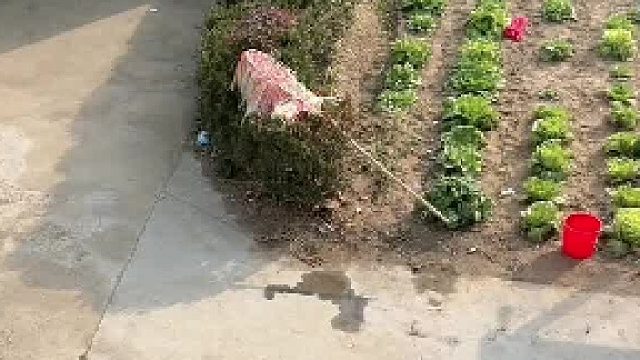 没看到最后真是不敢想象，还以为来野兽了呢
