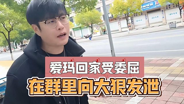爱玛回家受委屈，在群里向大狠发泄